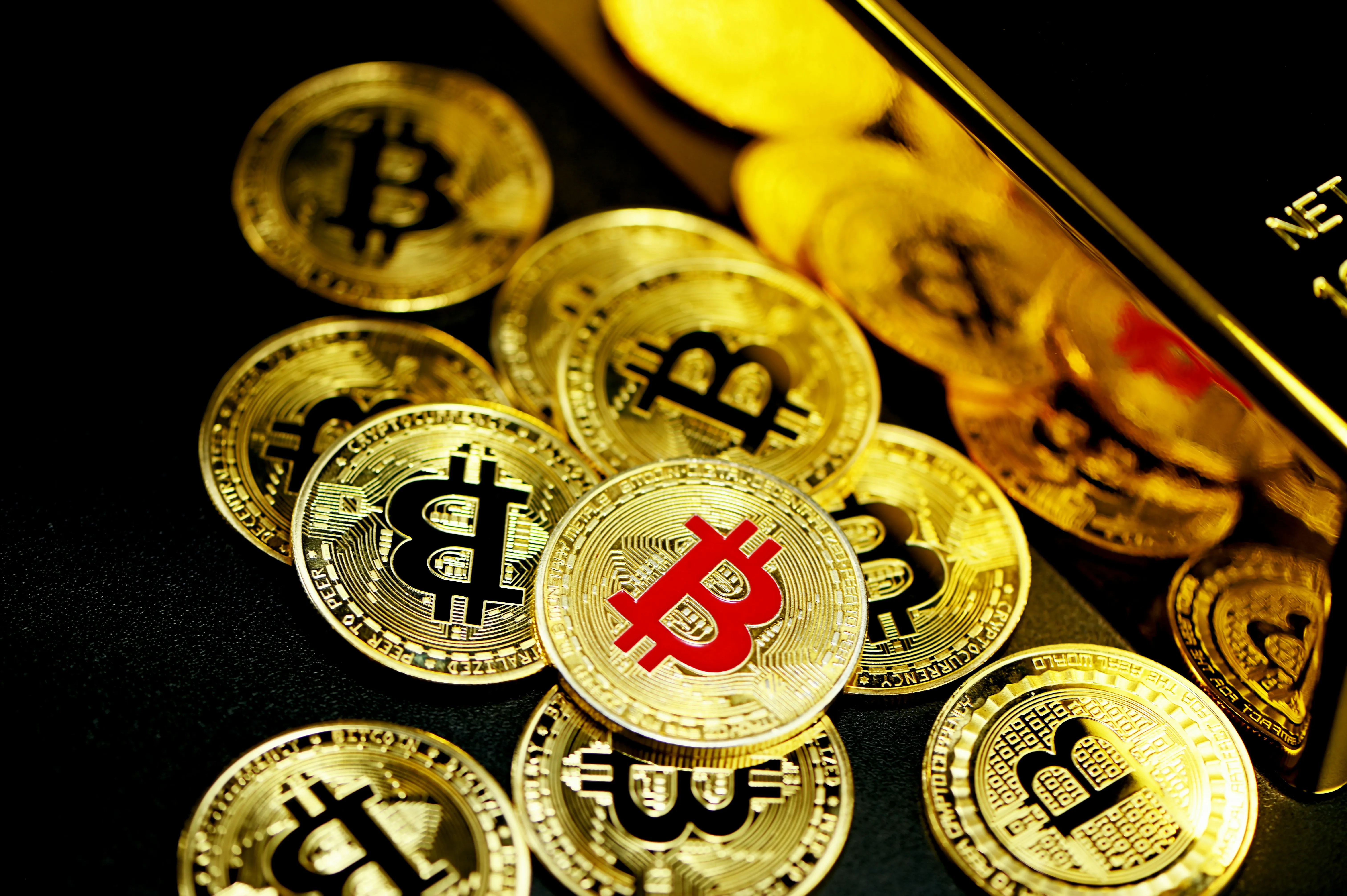 Hình ảnh đa dạng các môn thể thao tại BigBoss