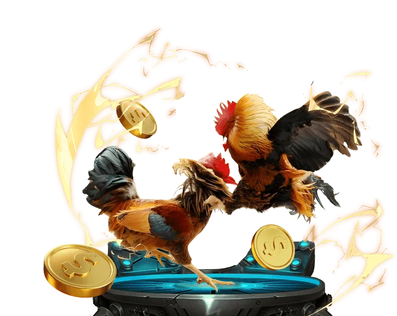 BigBoss - Bảo mật và hỗ trợ khách hàng chuyên nghiệp